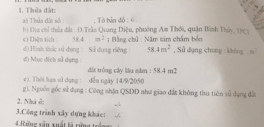 Bán gấp nhà cấp 4 gần chợ An Thới – Cần Thơ