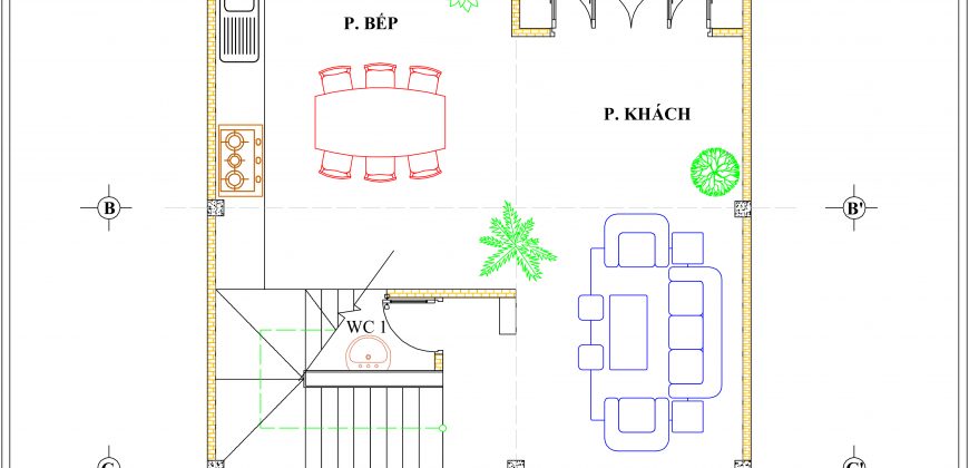 NHÀ TÂN CỔ ĐIỂN PHONG CÁCH CHÂU ÂU – NỘI THẤT CAO CẤP, SANG TRỌNG